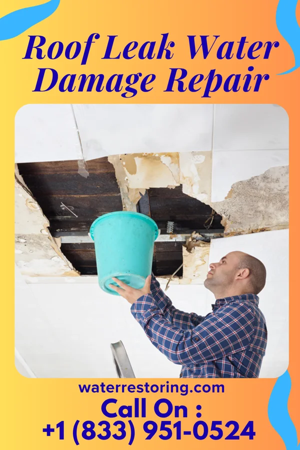 Roof Leak Water Damage Repair in Mermentau, LA